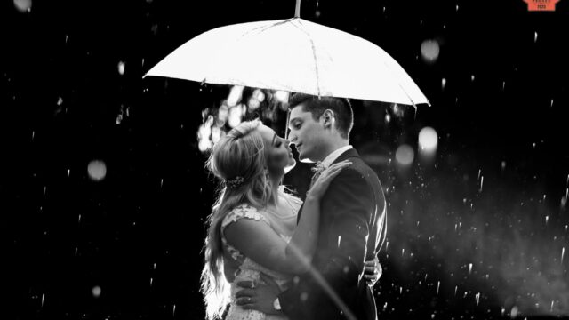 11264001476419fb23c0b700.52905191_picture-of-the-day_prowedaward-lood-goosen