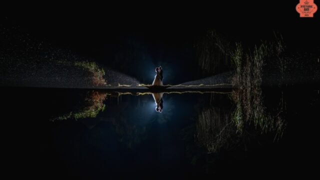 2010276490640f86f60f15a8.29441657_picture-of-the-day_prowedaward-lood-goosen