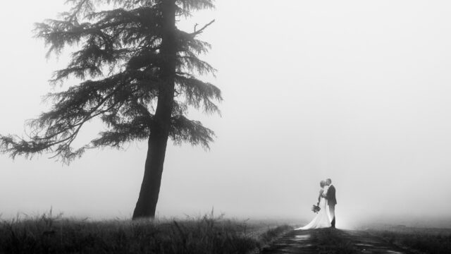 297869542_595591282139645_2964398864984139421_n