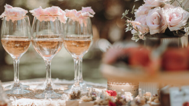 321565407_538200478014520_2365365281421327766_n