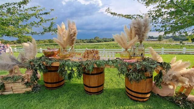 322252858_1064498961611628_1301269685918543032_n