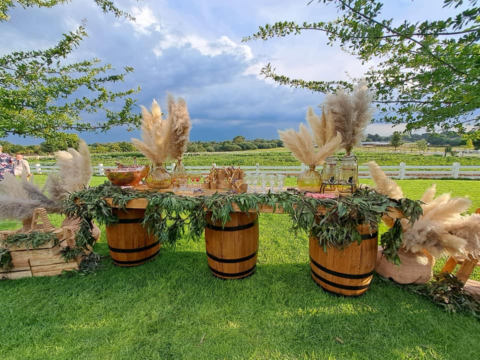 322252858_1064498961611628_1301269685918543032_n