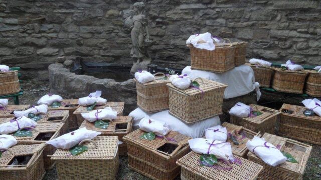 32B1A2C7-A01A-40E2-B6A4-986702BD3AEF