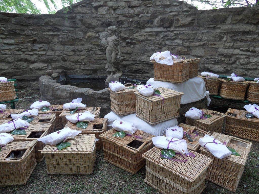 32B1A2C7-A01A-40E2-B6A4-986702BD3AEF