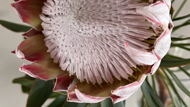 AA94FB24-9A25-4D29-A8EC-D360652BE5F4