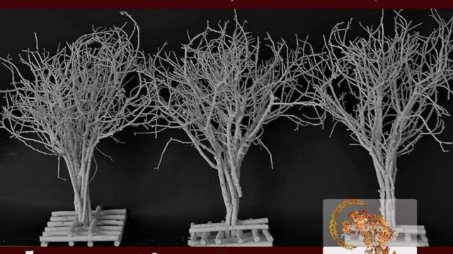 FB_IMG_1668107442476