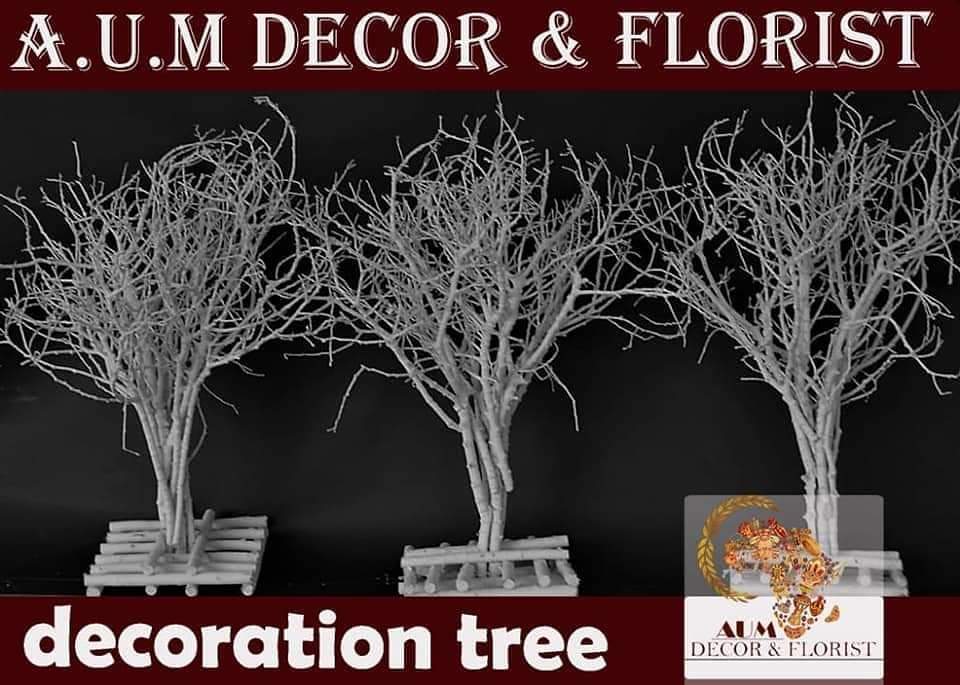 FB_IMG_1668107442476