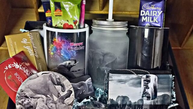 FB_IMG_1677084061930