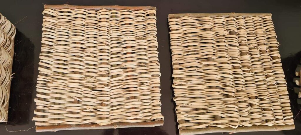 FB_IMG_1678369603696