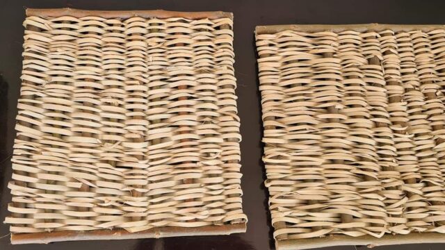 FB_IMG_1678369603696