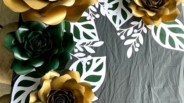 IMG-20221209-WA0013_edit_345575067834767