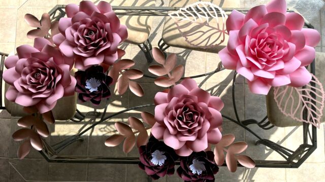 IMG-20230303-WA0008_edit_241172458008512