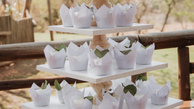 a27ff406-9eb6-482f-8e68-0974cb67351e