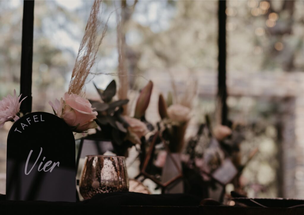 323291743_512708940958312_8092769709734396956_n