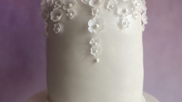 648CB716-E73F-424B-A132-3C05E58EF2CA