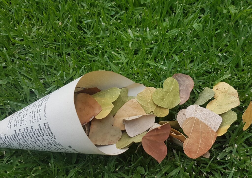 IMG_20201117_202347_446