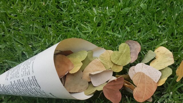 IMG_20201117_202347_446