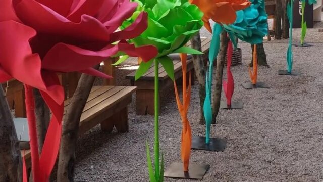 344418439_561059872679321_6567003416560982329_n