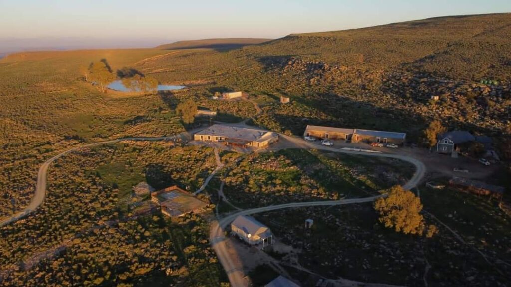 FB_IMG_1718365307145